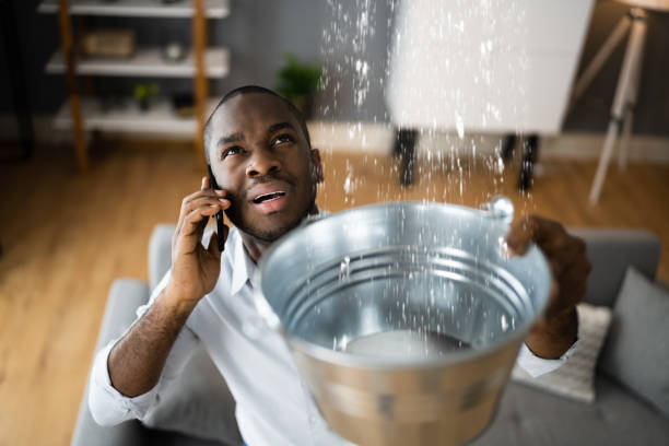 Best Local water damage restoration  in St John, IN