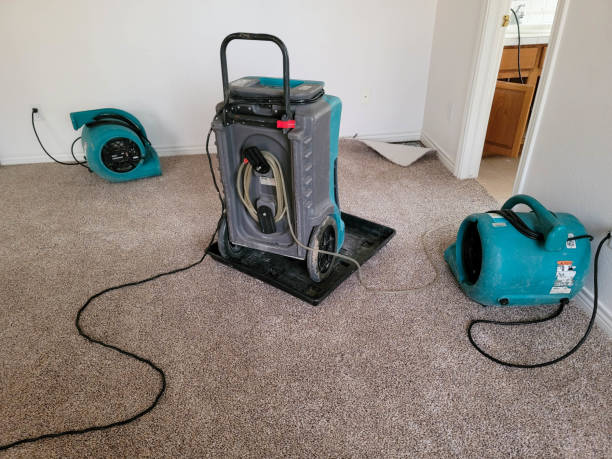 Best Water damage restoration mold remediation  in St John, IN