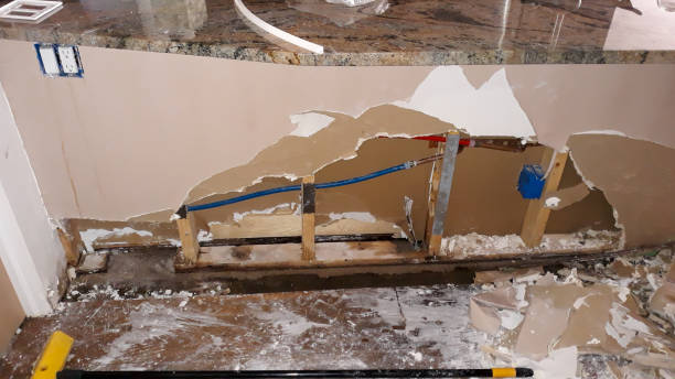 Best Residential water damage restoration  in St John, IN