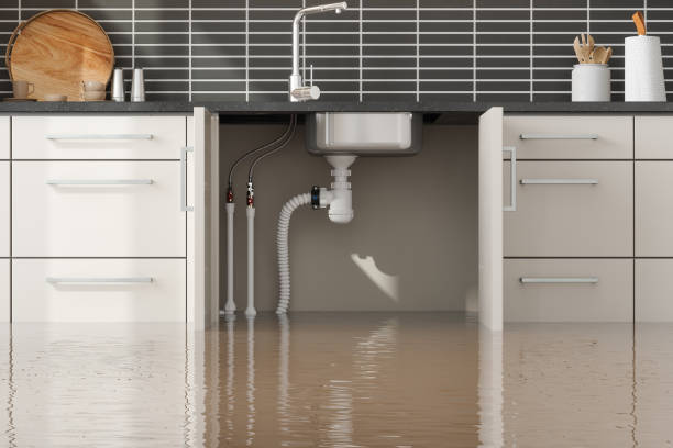 Best 24/7 water damage repair  in St John, IN